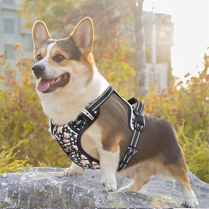 Timos Dog Harness, NO Need Go Over Dogs Head 3 Snap Buckles with 2 Leash Clips, Adjustable Soft Padded No-Pull Dog Harness, Reflective No-Choke Pet Oxford Vest for Small Medium Large Dogs