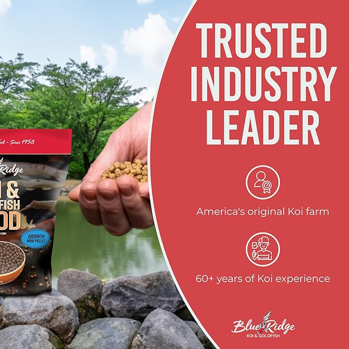 Blue Ridge Koi Fish Food 5lb - Koi Food Mini Growth Formula, Goldfish Food, Premium Fish Food for Ponds, Ponds Fish Food, Floating Pond Pellets