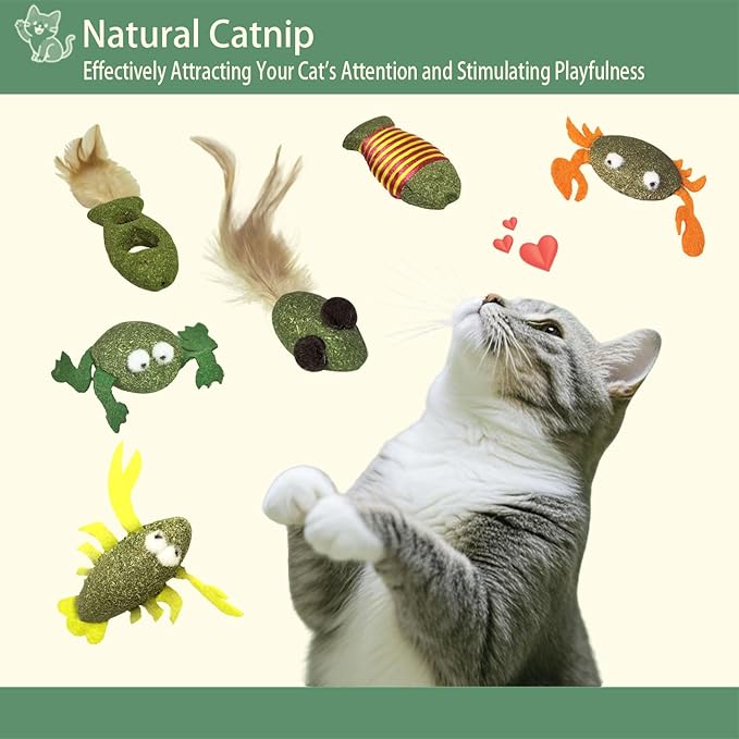 6-Pack Diverse Shaped Catnip Cat Toys - Suitable for Indoor Cats & All Cat Breeds, Including Frog, Lobster, Feather Fish, Striped Fish, Crab & Mouse Shapes