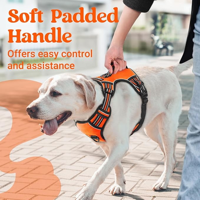 rabbitgoo Dog Harness for Large Dogs, No Pull Pet Harness with Soft Padded Handle, Adjustable Reflective Vest with 3 Buckles, Easy Walking Harness with 2 Leash Clips, Orange, L