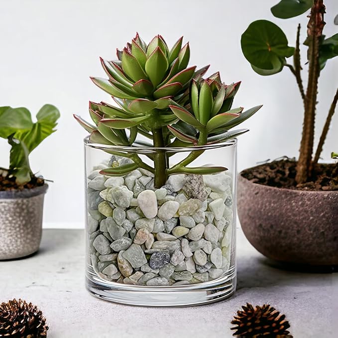 HappyFiller 18 Pound Small River Stones Decorative Tiny Pea Gravel for Aquarium Fish Tank Pebbles Rocks,Indoor Outdoor Plants Catcus Succulent Top Dressing,Zen Garden,Vase Fillers,Light Green Mix