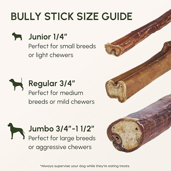 Downtown Pet Supply Bully Sticks for Dogs - Natural 6 Inch Beef Chews, Odor-Free & Rawhide-Free, Long Lasting Dog Treats for Aggressive Chewers - Healthy, Safe & Delicious Chews Dogs Love (10 Pack)