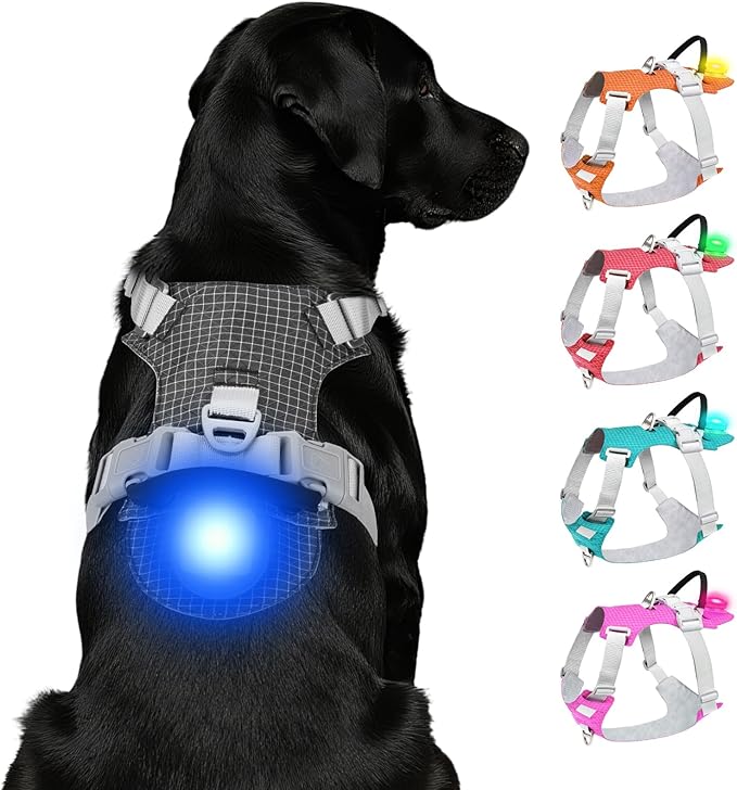Joytale Lightweight Light Up Dog Harness, Rechargeable No-Pull LED Dog Harness with Detachable Light Box, Airtag Holder, Adjustable for Night Walking, Running & Everyday Use, Black, L