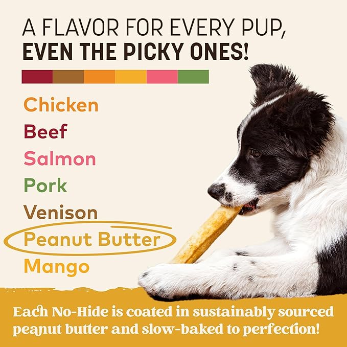 Earth Animal No Hide Medium Peanut Butter Flavored Natural Rawhide Free Dog Chews Long Lasting Chew Sticks | Treats for Large Dogs | Great for Aggressive Chewers - 2 Count