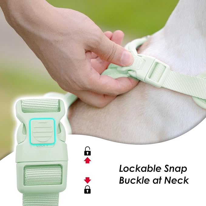 No Pull Dog Harness, Puppy Vest with Front Clip for Small Medium Large Sized Dog(Light Green,M)