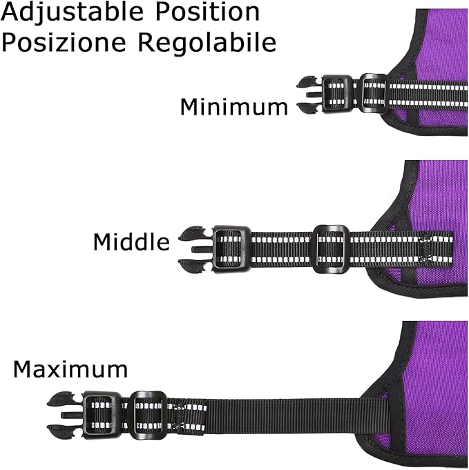 HEELE Dog Harness, No Pull Adjustable Padded Reflective Harness for Small Medium Large Dogs with Handle for Walking Training, Purple, XL