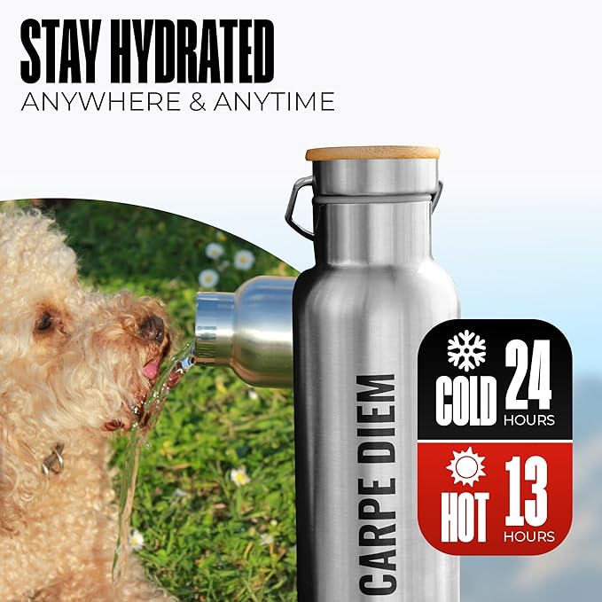 Insulated Water Bottle 16oz | Stainless Steel Water Bottle | Insulated Water Bottles | Travel Water Bottle | Metal Water Bottle | BPA-Free | Reusable Water Bottle 500 ml | Perfect for School