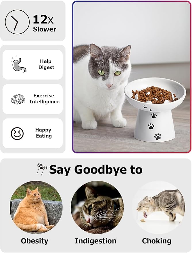 Y YHY Slow Feeder Cat Bowl, Ceramic Cat Slow Feeder Bowl, 6 Inches, Elevated, Anti Vomiting for Dry and Wet Food, White
