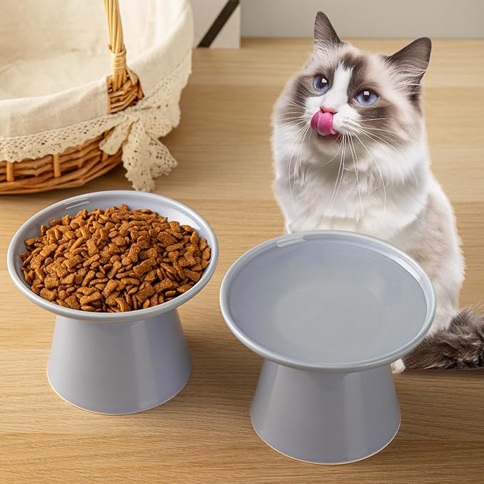 6.2 Inch Extra Wide Elevated Ceramic Cat Bowls, Food and Water Bowl Set for Elder Big Cats Small Dogs, Raised Design for Pet Easy Eating, Protect Cat's Spine Set of 2(Light Purple)