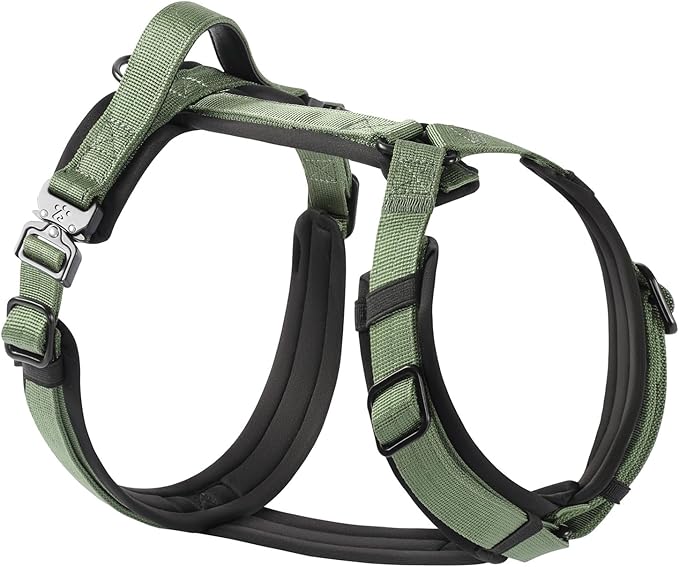CLEPAWS Dog Harness for X-Large Dogs, No Pull Dog Harness Easy Walk with Metal Hardware, Ergonomic Y-Shaped Design, Soft Padding, Padded Handle, Durable High-Tensile Nylon (Evergreen, XL)