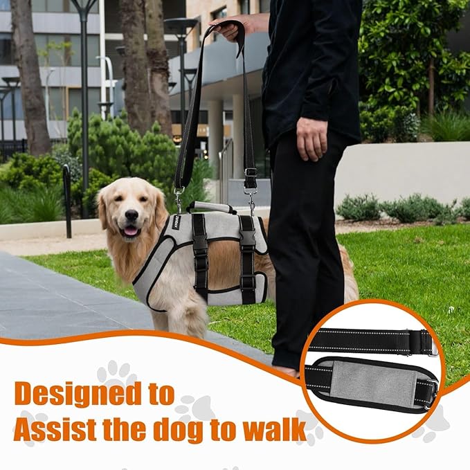 Ayquez Dog Lift Harness with Storage and Transport Bag, Dog Harness with Handle for Lifting & Hip dysplasia, arnés para Perros pequeños, pechera para Perros Gray, S