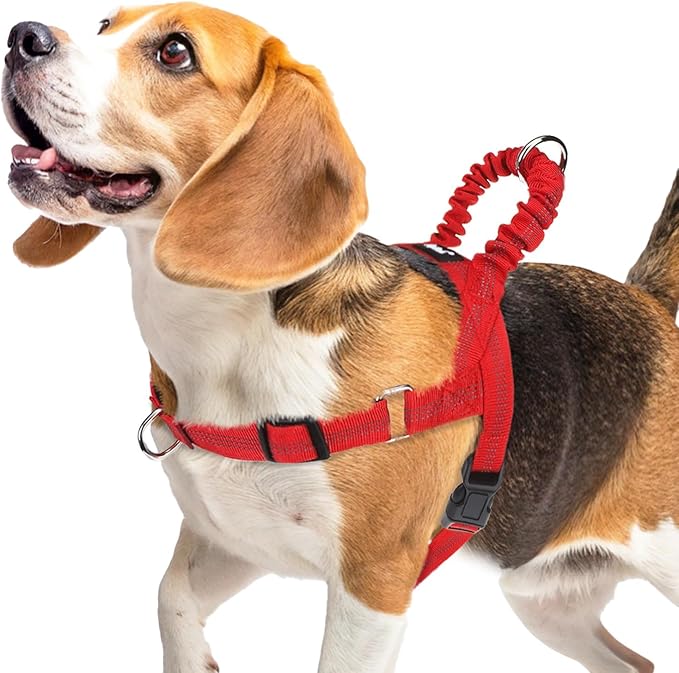 PUPTECK No Pull Dog Harness Medium Sized Dog, Adjustable Reflective Pet Vest Harness with Bungee Handle, Escape Proof No Choke Harness for Medium Dogs Walking Training, Red M