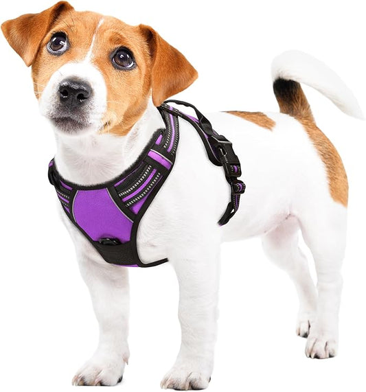 Funfox Dog Harness No Pull, Adjustable Pet Vest Harness Purple S with Handle, 2 Leash Clips for Daily Walking Easy Control, Soft Durable Reflective Comfortable for Small Sized Dogs