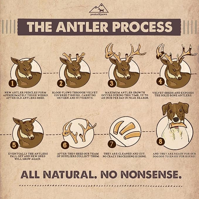 Premium Split Elk Antlers for Dogs, Dog Treats Large Breed, Made in USA, Natural Chews for Aggressive Chewers, Long Lasting Pet Treat for Dogs Under 80 lbs, 2 Large/XL Antler Pack