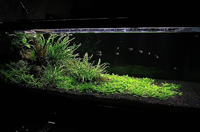 Ultum Nature Systems Controsoil - Freshwater Aqua Soil Substrate for Fish, Shrimp, Live Plant Propagation and Aquascaping - 6.8pH Low Ammonia, Volcanic Ash - Black, Normal (3 Liter | 6LB)