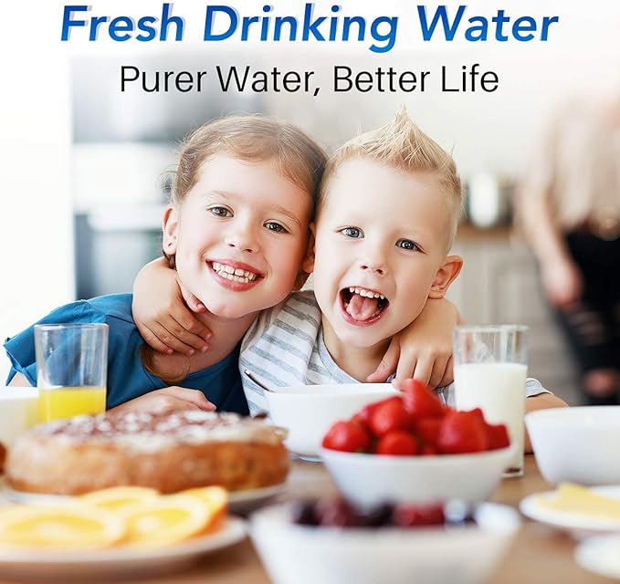 ICEPURE NSF53&42 5-Stage Pitcher Water Filter Replacement for ZERO ZR-001, ZR-003, ZR-017,ZP-007RP, ZD-013W, ZS-011RP, ZD-012RP, Pitchers and Dispensers Replacement [2 Pack]