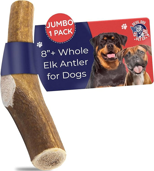 Devil Dog Pet Co. Elk Antlers for Dogs, Jumbo 8"+, 1 Pack, Grade A Long Lasting Chew for Aggressive Chewers, Premium USA Naturally Shed Antler – Healthy, No Odor, Durable Dog Chew