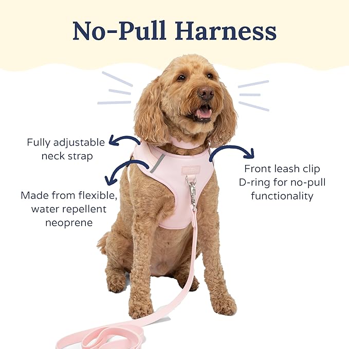 Lucy & Co. The Rosewater No-Pull Dog Harness - Size X-Small - Vest to Stop Pulling & Walk Easy - Comfortable Leash Training Product w/Adjustable Chest & Neck Straps