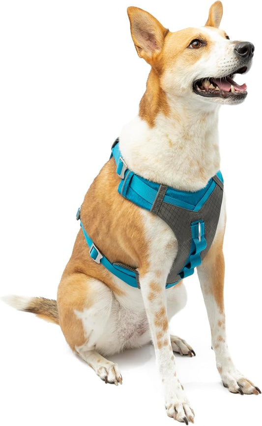 Kurgo Journey Air Dog Harness - Secure Fit for Active Dogs - Padded Chest - Lightweight Ripstop Fabric - Breathable Mesh - Reflective Trim - Back Assist Handle - Blue - X-Large