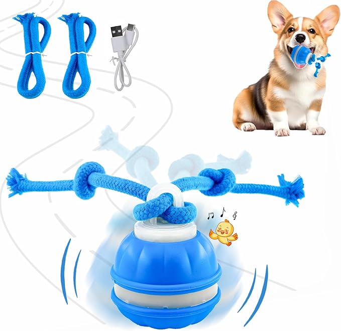 P06 Interactive Dog Toys Dog Balls, Electric Automatic Moving and Rolling Dog Toy with Rope for Small Medium Dogs, Fun Smart Puppy Toy s for Boredom & Training, Dog Toys to Keep Them Busy (Blue)