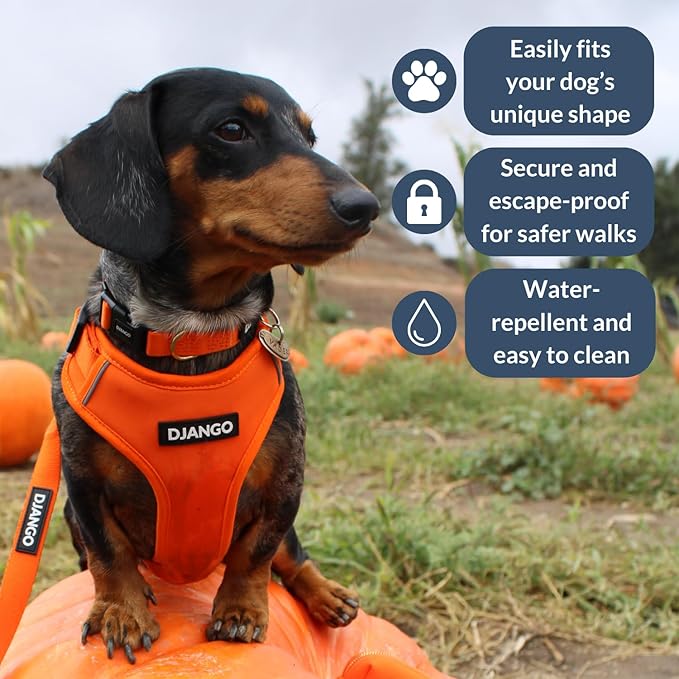 DJANGO Adventure Dog Harness - Stylish, & Durable Large Dog Harness for Outdoor Adventures and Everyday Wear - Sunset Orange Neoprene Adjustable Harness for Dogs with Reflective Piping & Brass D-Ring