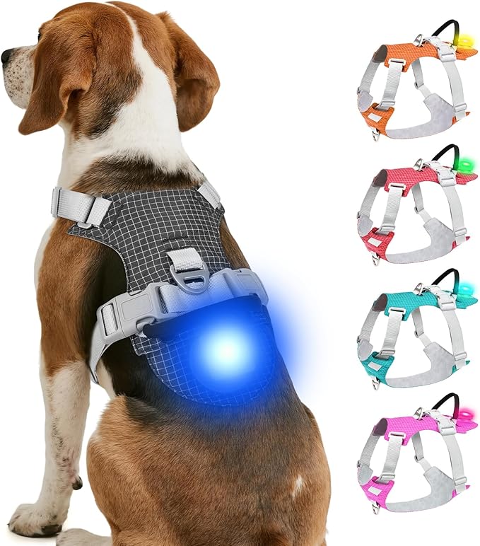 Joytale Lightweight Light Up Dog Harness, Rechargeable No-Pull LED Dog Harness with Detachable Light Box, Airtag Holder, Adjustable for Night Walking, Running & Everyday Use, Black, M