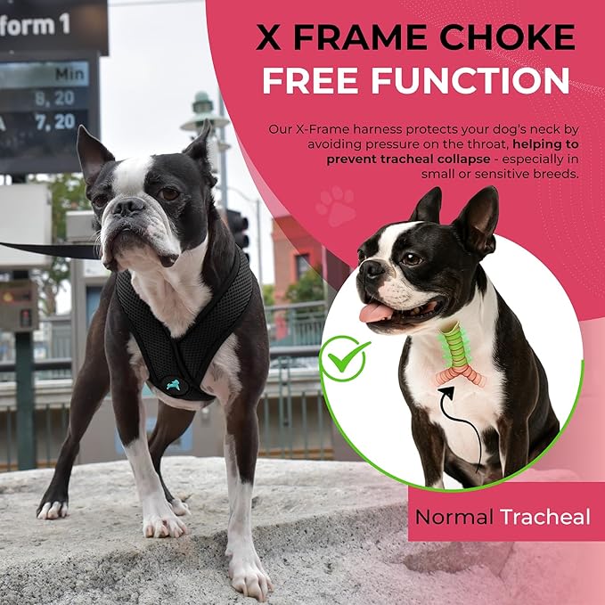 Gooby Comfort X Head In Harness - Black, Large - No Pull Small Dog Harness, Patented Choke-Free X Frame - Perfect on the Go Dog Harness for Medium Dogs No Pull or Small Dogs for Indoor and Outdoor Use