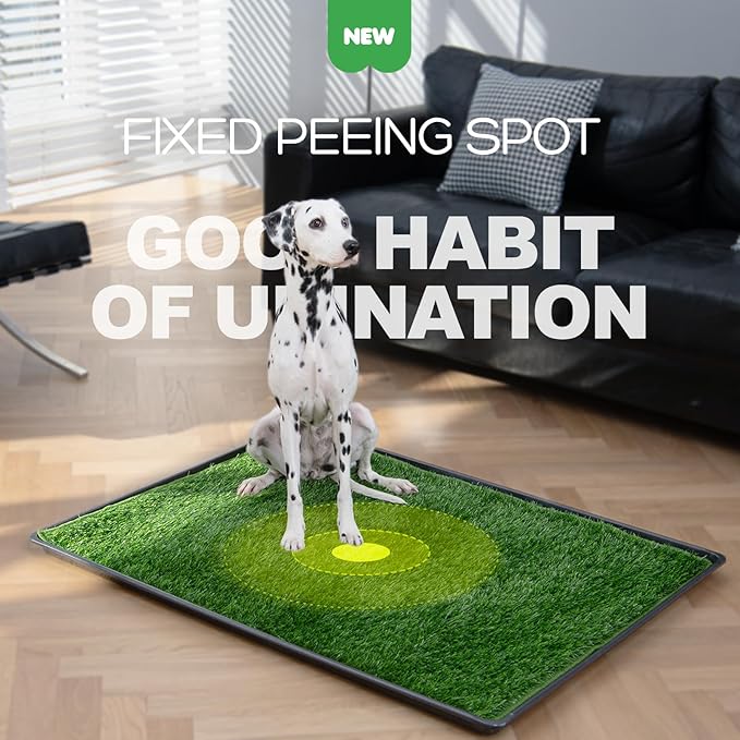 Dog Grass Pad with Tray, 31×21in Medium Litter Box, 2×Grass Pad for Dogs Potty Washable, Thick Soft Odor-Free Hemmed Dog Pee Grass, Indoor Potty Training Balcony