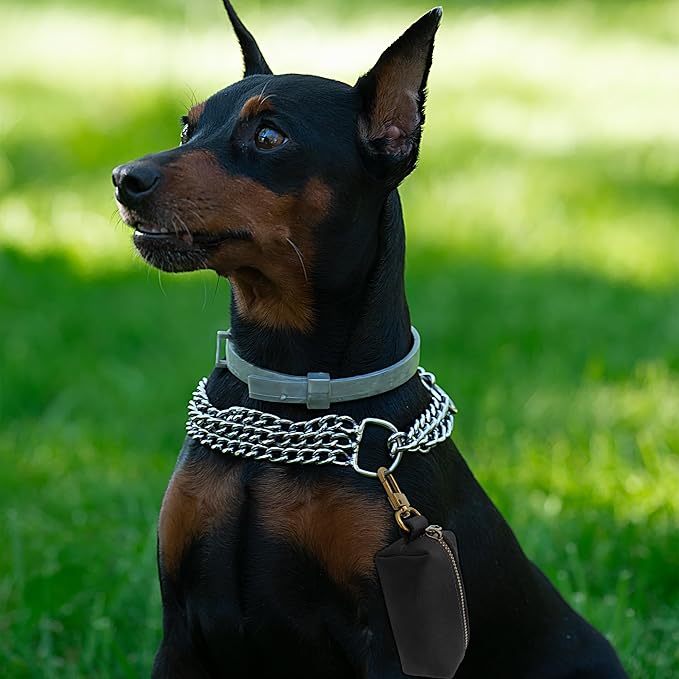 HIFA Genuine Leather Dog Leash Holder, Holder for Leashes - Soft Touch Rustic Brown Leather, Metal Clips and Easy Access to Pet Waste Dispenser- Dispenser for Outdoor Puppy Walking