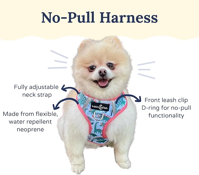 Lucy & Co. The DinoROAR No-Pull Dog Harness - Size X-Small - Vest to Stop Pulling & Walk Easy - Comfortable Leash Training Product w/Adjustable Chest & Neck Straps