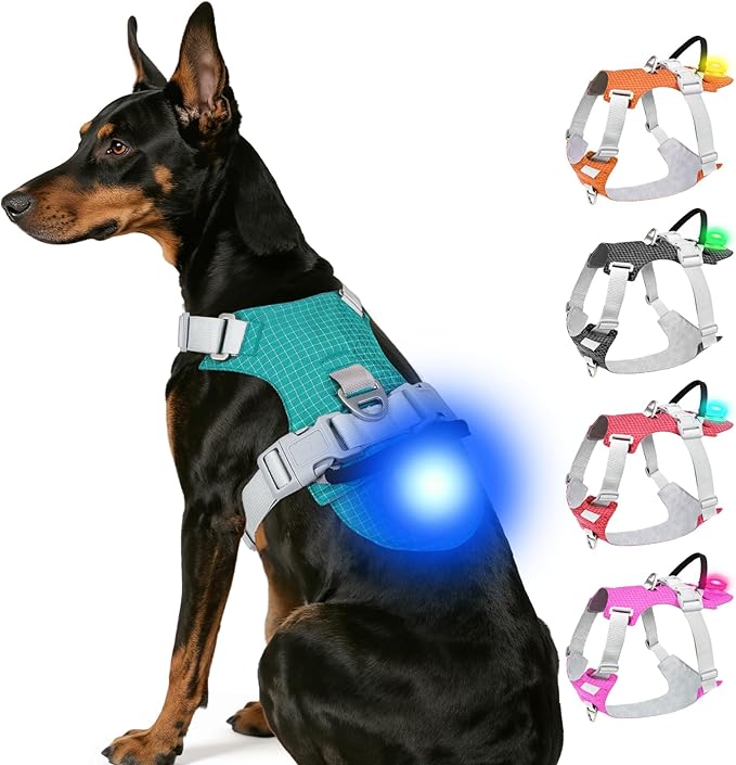 Joytale Lightweight Light Up Dog Harness, Rechargeable No-Pull LED Dog Harness with Detachable Light Box, Airtag Holder, Adjustable for Night Walking, Running & Everyday Use, Light Blue, XL