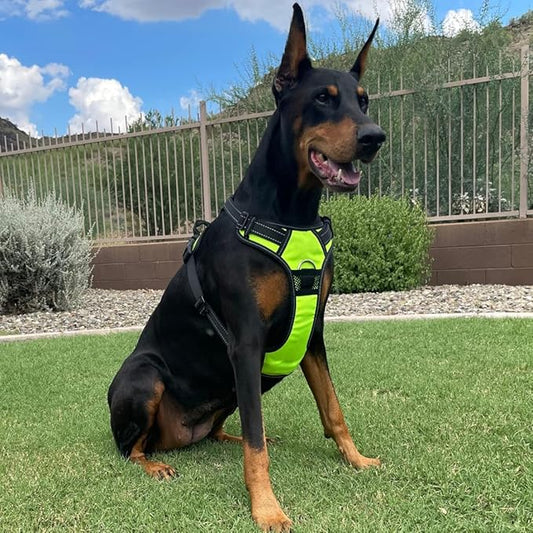 4Knines No Pull Dog Harness for XL Dogs – Adjustable Reflective Harness with Front & Back Leash Clips – Padded for Comfort – Durable, Easy Control for Walks & Training (Yellow)