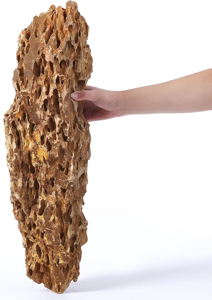 22-24 Inches Natural Dragon Stone 1 PCS Ultra Large Aquarium Rocks for Aquascaping, Aquarium Landscaping, Terrariums, Fish Tank Decoration, Vivariums, Paludarium, Amphibian Enclosures