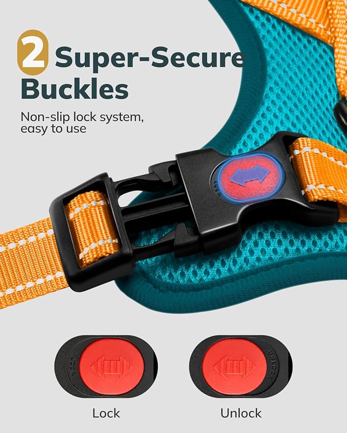 MIDOG No-Pull Dog Harness | Adjustable & Reflective Pet Harness Leash Set for Small Medium Large Dogs Walking, Training| No Choke, Front Clip, Soft Padded Vest with Easy Control Handle - Blue, S