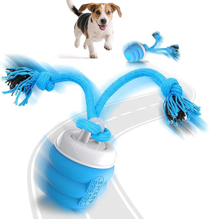 Interactive Dog Toys Balls,Squeaky Dog Toy Active Rolling Ball for Training,Fit for Medium/Small Puppy and Boredom Dogs,Rechargeable Smart Automatic Dog Toys(Blue)