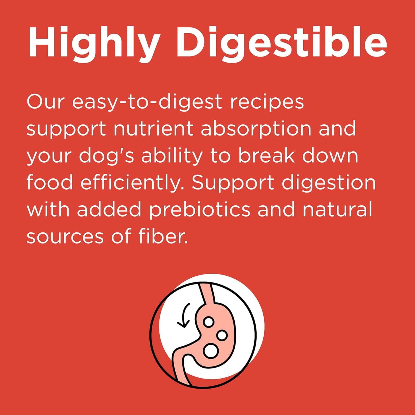 BIXBI Rawbble Dry Dog Food, Beef, 4 lbs - USA Made with No Meat Meals or Fillers - Freeze Dried Raw Coated Dog Food - Industry Leading Digestibility