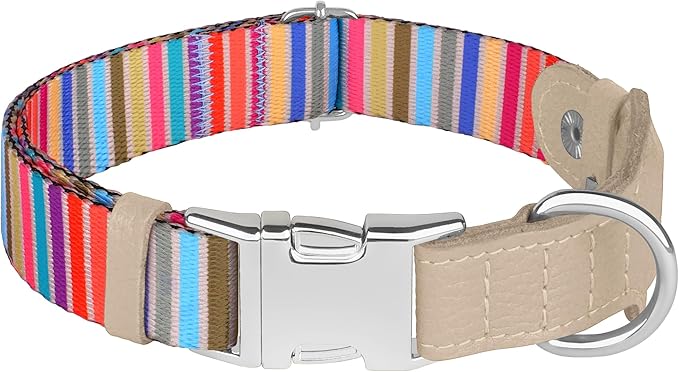 AirTag Dog Collar for Small Medium Large Breed - Adjustable Cute Pattern Dog Collar with Airtag Holder - Soft Leather Tracker GPS Apple Air Tag Pet Collars (X-Small, 9"-12" Neck Fit, Serape)
