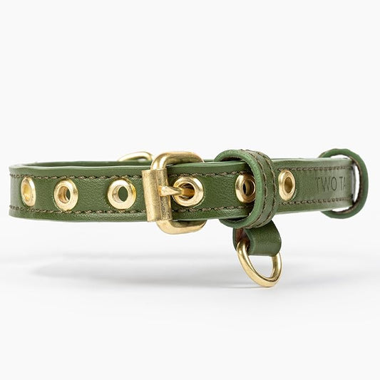 Cactus Leather Dog Collar - Eco-Friendly, Stylish, Easy-to-Clean Pet Collar with Gold Hardware, D-Rings for Leash & ID Tag (Small, Green)