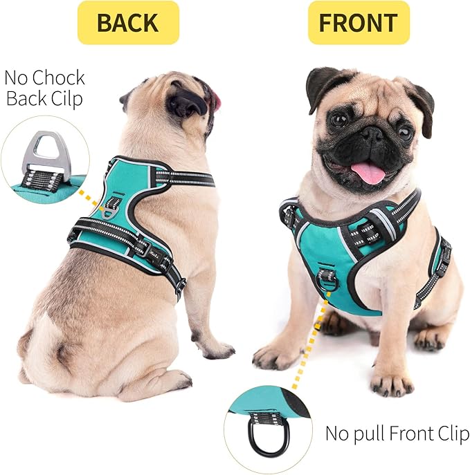 HEELE Dog Harness, No Pull Adjustable Padded Reflective Harness for Small Medium Large Dogs with Handle for Walking Training,Turquoise, M