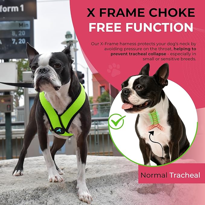 Gooby Comfort X Head In Harness - Green, X-Large - No Pull Small Dog Harness, Patented Choke-Free X Frame - Perfect on the Go Dog Harness for Medium Dogs No Pull, Small Dogs for Indoor and Outdoor Use