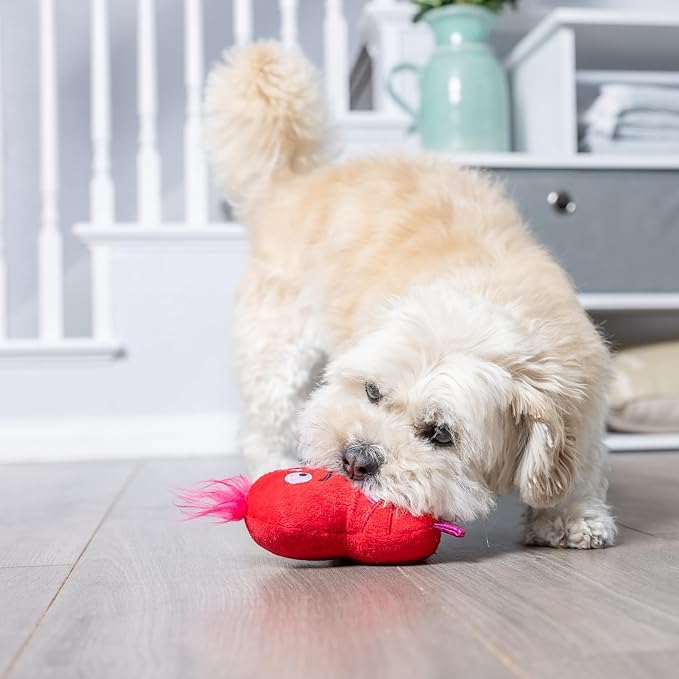Huxley & Kent Tiny Tuff | Love Bugs | Valentine's Day Extra Tough Dog Toy for Small Dogs | 2-Pack Funny Dog Toy | Features Squeaker, Crinkle | Machine Washable