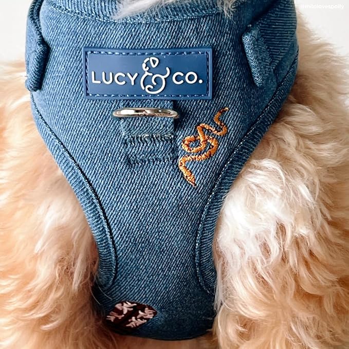 Lucy & Co. The Giddy Up No-Pull Dog Harness for Dogs – Vest to Stop Pulling & Walk Easy – Comfortable Leash Training Product w/Adjustable Chest & Neck Straps - Blue Demin Cowboy - Small