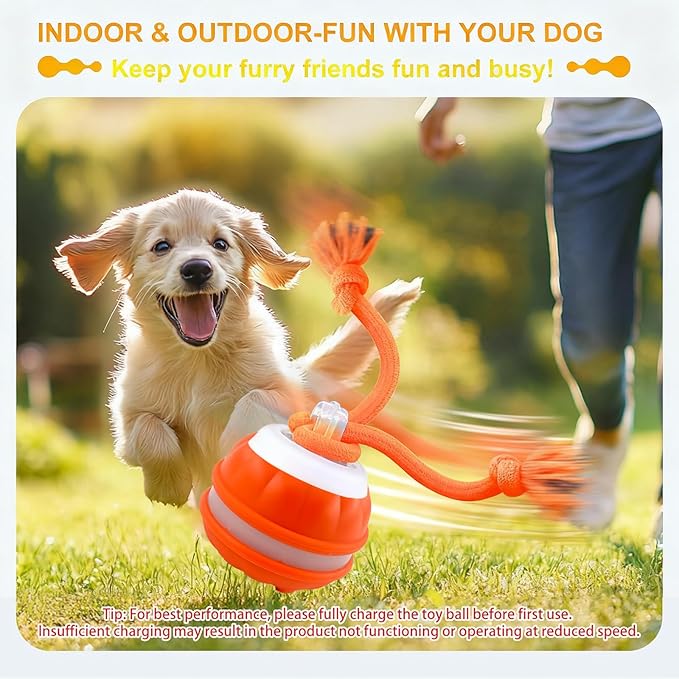 P06 Interactive Dog Toys Dog Balls, Electric Automatic Moving and Rolling Dog Toy with Rope for Small Medium Dogs, Fun Smart Puppy Toy s for Boredom & Training, Dog Toys to Keep Them Busy (Blue)