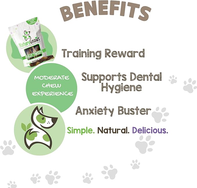 Nature Gnaws Braided Bully Twists for Dogs 5-6" (10 Count) - Long Lasting for Small and Medium Dogs - Natural Beef Dog Chew Bones