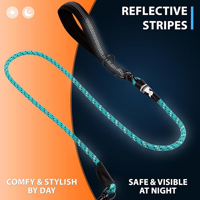 SparklyPets Dual Dog Leash for 2 Small Dogs – Tangle Free Rope Bungee Double Leash for Two Breeds with Adjustable Couplers & Soft Handle (Black, Small)