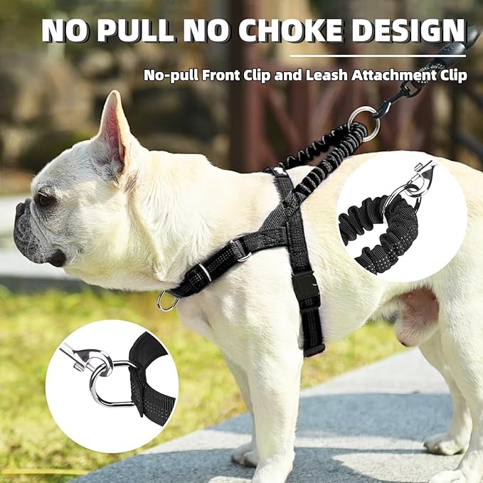 PUPTECK No Pull Dog Harness Small Sized Dog, Adjustable Reflective Pet Vest Harness with Bungee Handle, Escape Proof No Choke Harness for Small Dogs Walking Training, Black XS
