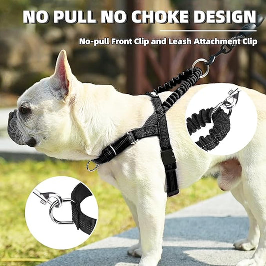 PUPTECK No Pull Dog Harness Small Sized Dog, Adjustable Reflective Pet Vest Harness with Bungee Handle, Escape Proof No Choke Harness for Small Dogs Walking Training, Black S