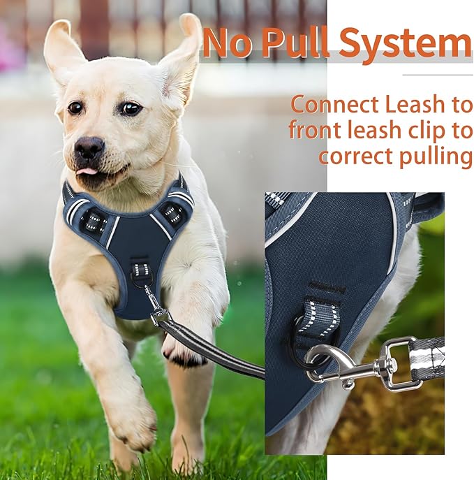 HEELE Dog Harness for Small Dogs No Pull Dog Vest Harness for Small Dog with Soft Padded Handle Reflective for Outdoor Training, Royal Blue, S