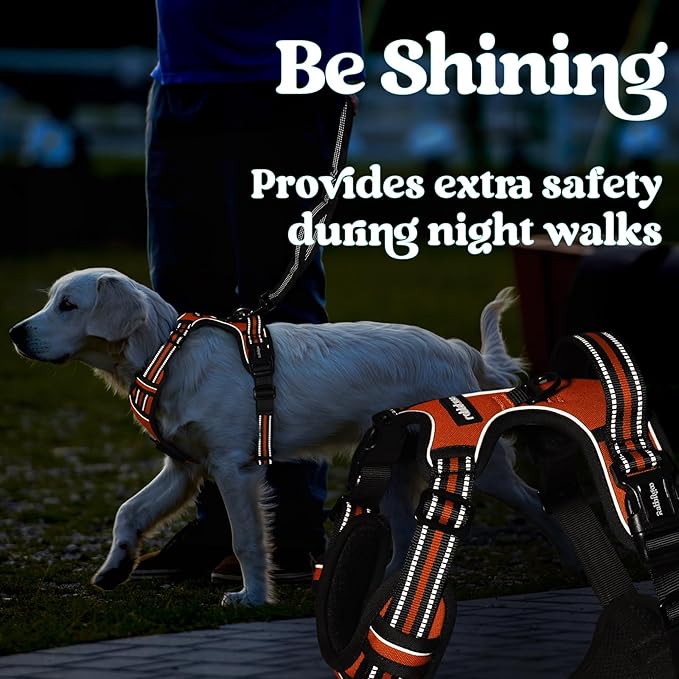 rabbitgoo Dog Harness for Large, No Pull Pet Harness with 3 Buckles, Adjustable Soft Padded Vest with Control Handle, Walking Reflective Pet Vest for Large Dogs, Orange, L