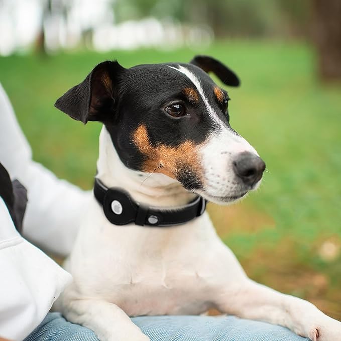 OOPSDOGGY Reflective Geniune Leather Airtag Dog Collar Soft Padded Collars for Small Medium Large Breed Dogs Puppy, 4 Sizes, 7 Colors (Black, XLarge, 19"-24")
